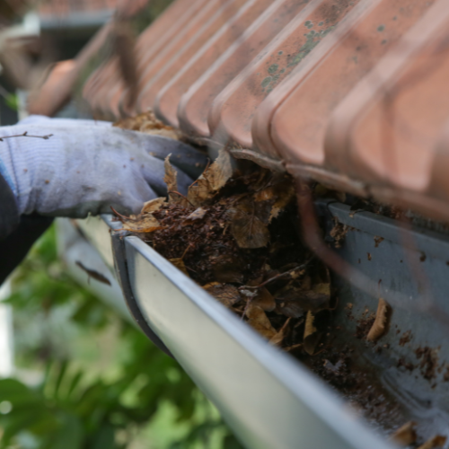Gutter Cleaning in Austin, TX Gutter Cleaning in Austin, TX