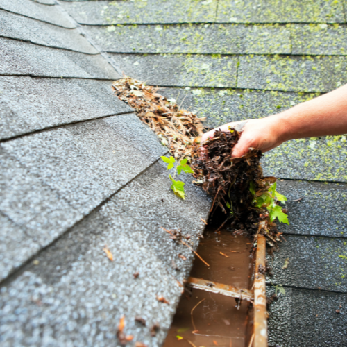Gutter Cleaning in Austin, TX Gutter Cleaning in Austin, TX